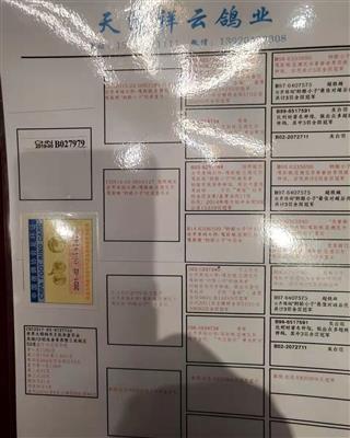 葛斯顿范德瓦尔奶酪小子240x098