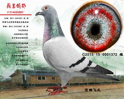 展厅