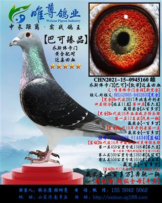 【巴可臻品】乔斯佛卡门"黄金配对"近亲