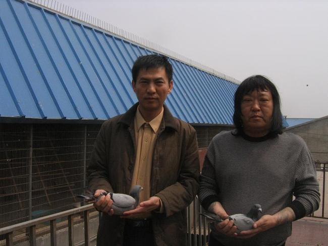 北京李明亮鸽舍 - 中信网铭鸽展厅 www.ag188.com