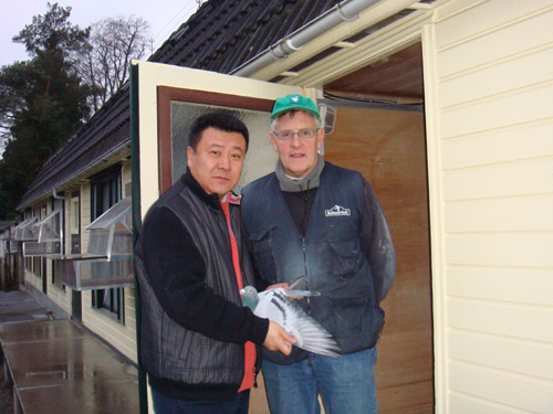 11k      图片说明:长春盛世鸽业董事长盛晓明先生亲往欧洲进行种鸽