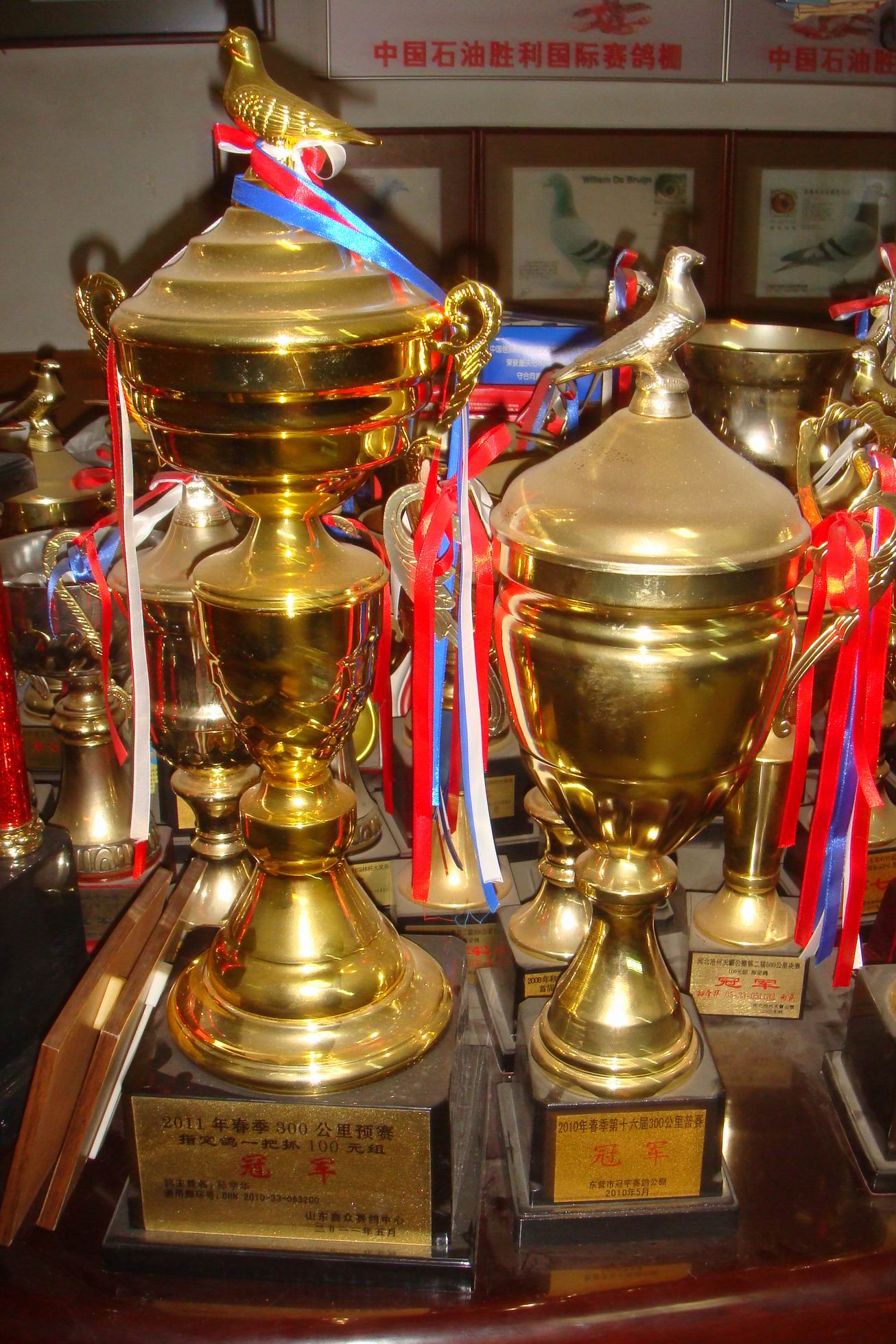 图片说明:中国石油胜利国际赛鸽获奖奖杯
