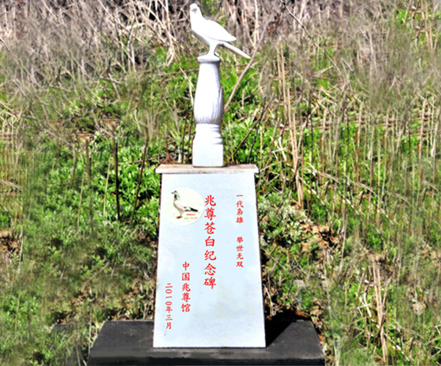 中国兆尊馆 - 中信网铭鸽展厅