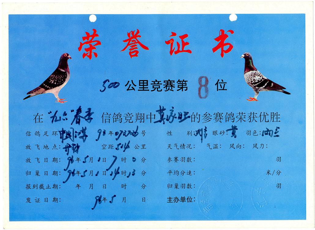 莫家旺莫童父子鸽舍 - 中信网铭鸽展厅 www.ag188.com