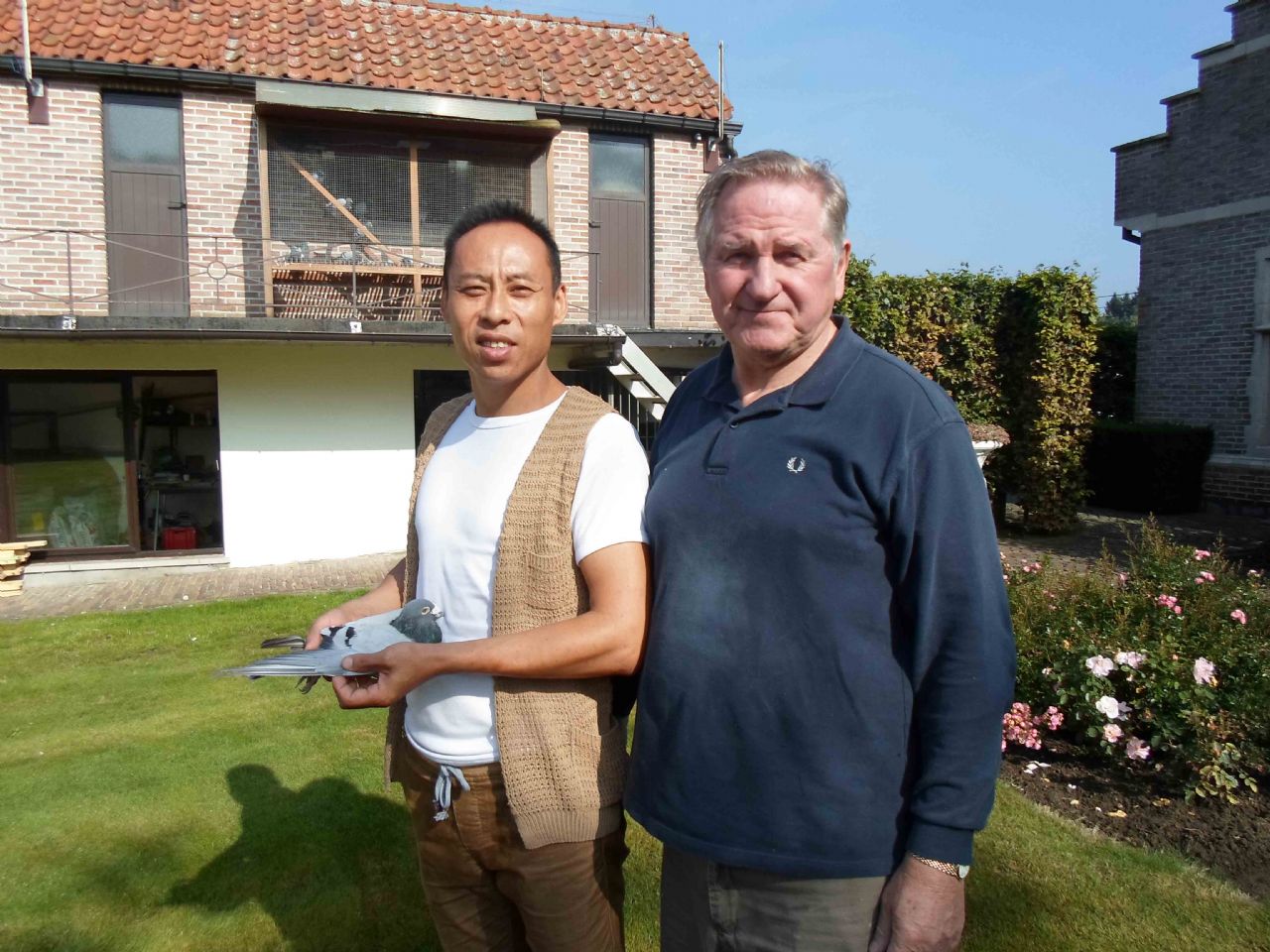 喜娟胡本系鸽业 - 中信网铭鸽展厅 www.ag188.com