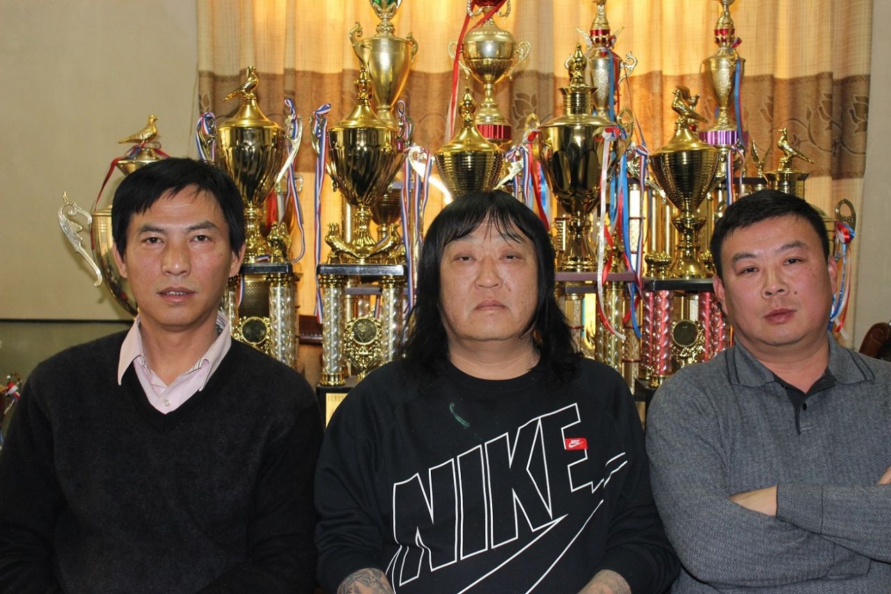 北京李明亮鸽舍 - 中信网铭鸽展厅 www.ag188.com