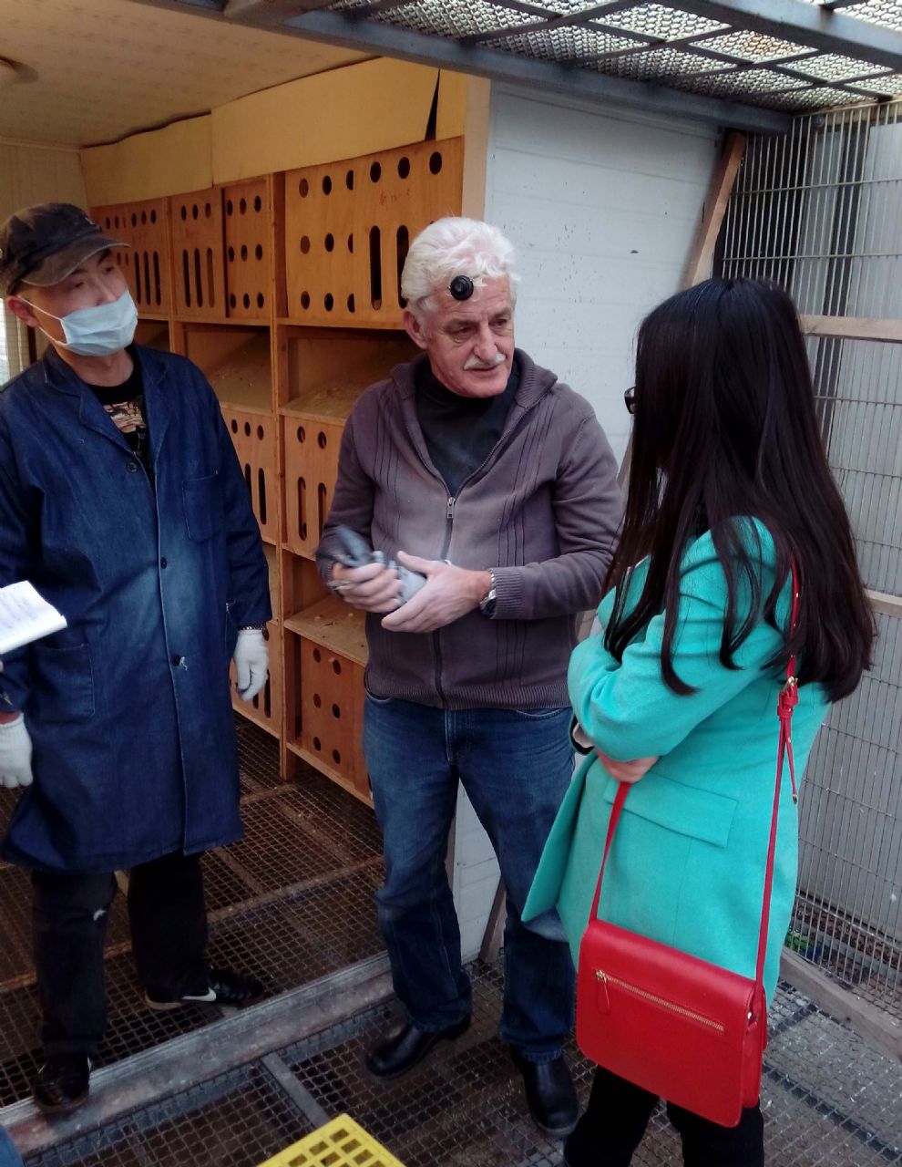 武汉祥獒园鸽业 - 中信网铭鸽展厅 www.ag188.com