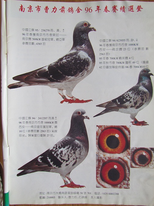 莫家旺莫童父子鸽舍