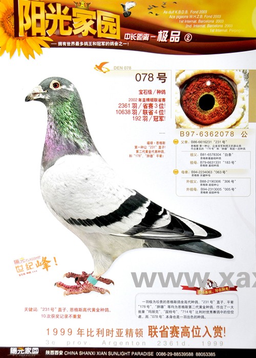 汉马阳光家园 - 中信网铭鸽展厅 www.ag188.com
