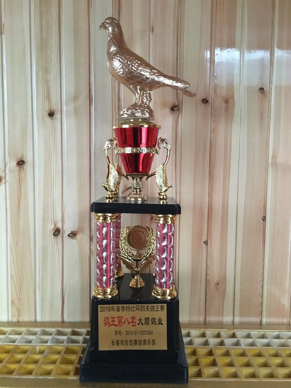 2016年春季特比环四关鸽王赛