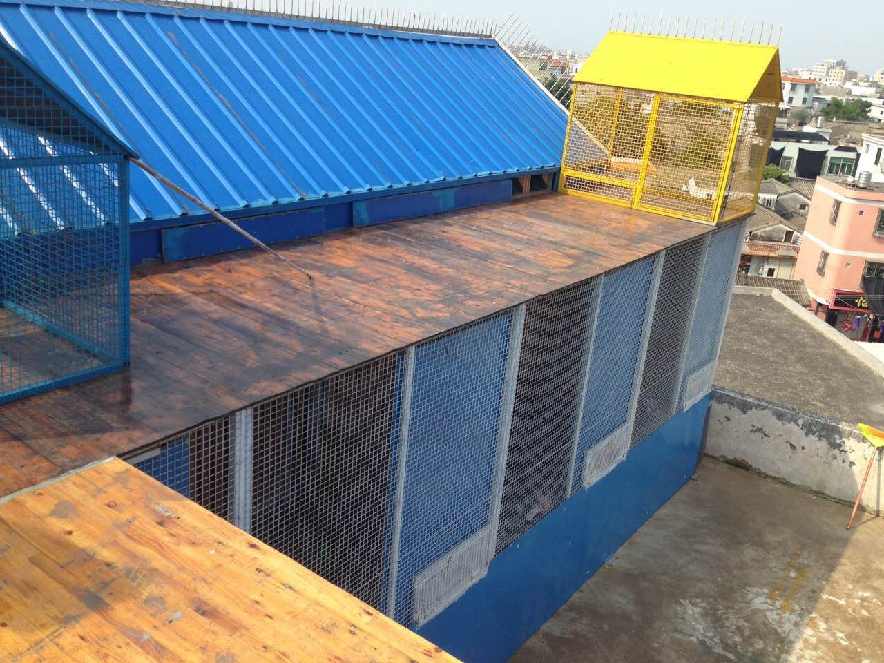 黑马鸽舍