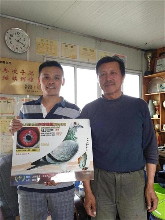 莫家旺莫童父子鸽舍 - 中信网铭鸽展厅 www.ag188.com