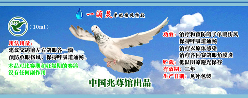 中国兆尊馆 - 中信网铭鸽展厅