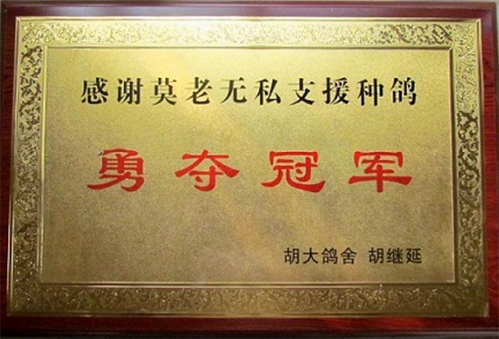 莫家旺莫童父子鸽舍 - 中信网铭鸽展厅 www.ag188.com