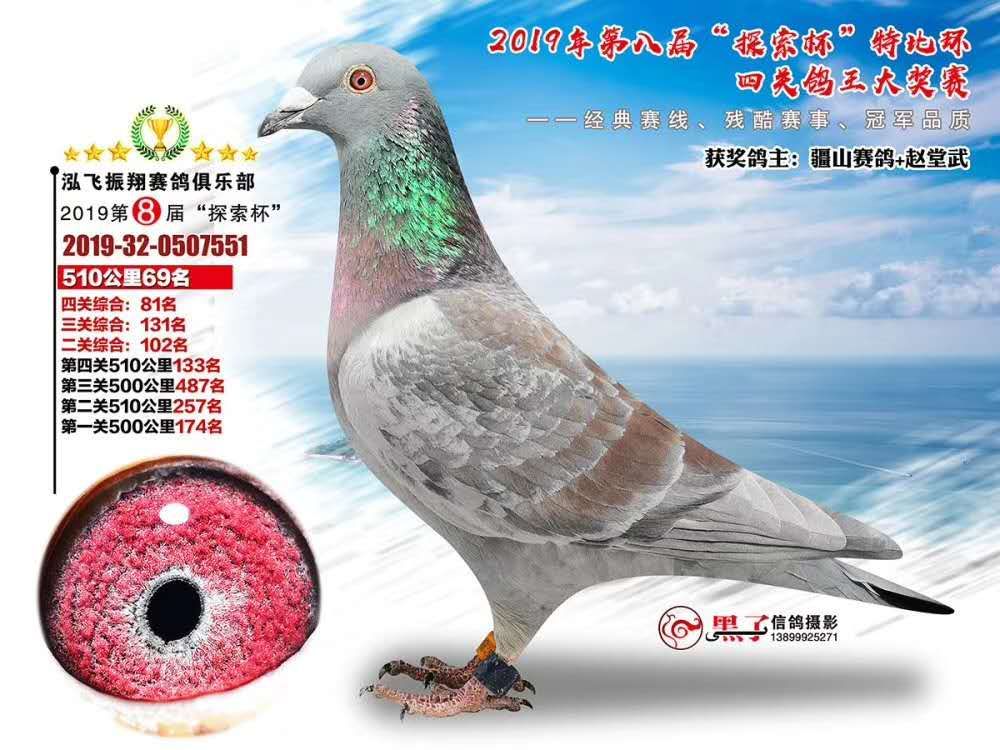 新疆极速鸽舍赵堂武 - 中信网铭鸽展厅 www.ag188.com