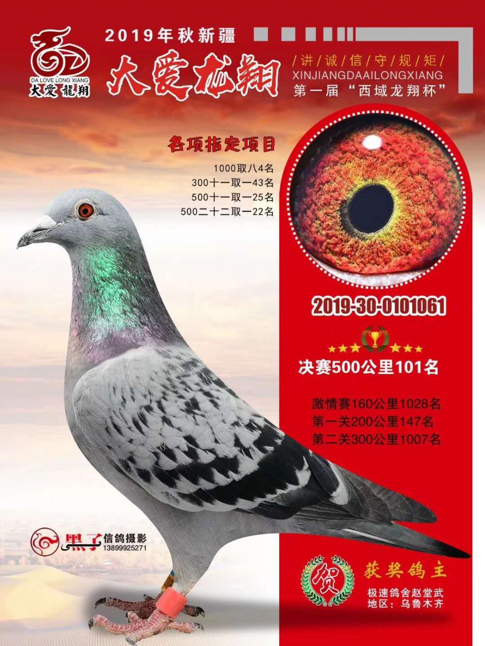 新疆极速鸽舍赵堂武 - 中信网铭鸽展厅 www.ag188.com