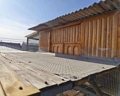 �����������봫ý