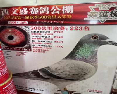 �漣���롪����